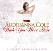 Wish You Were Here-Holiday Music Collection
