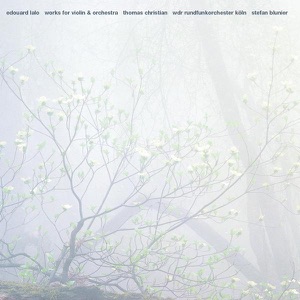 Works for Violin and Orchestra Vol. 1