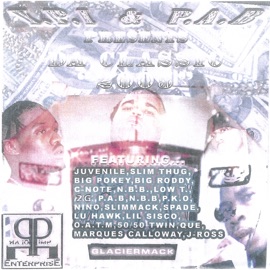 Stain On My White Tee Y.PI presents P.A.B & 2G