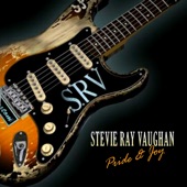 Stevie Ray Vaughan - Cold Shot