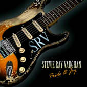Voodoo Chile - Stevie Ray Vaughan