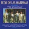 Vamos a Darnos la Mano - Ecos de las Marismas lyrics