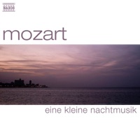 Mozart: Eine Kleine Nachtmusik - Capella Istropolitana, Wolfgang Sobotka & Harald Nerat