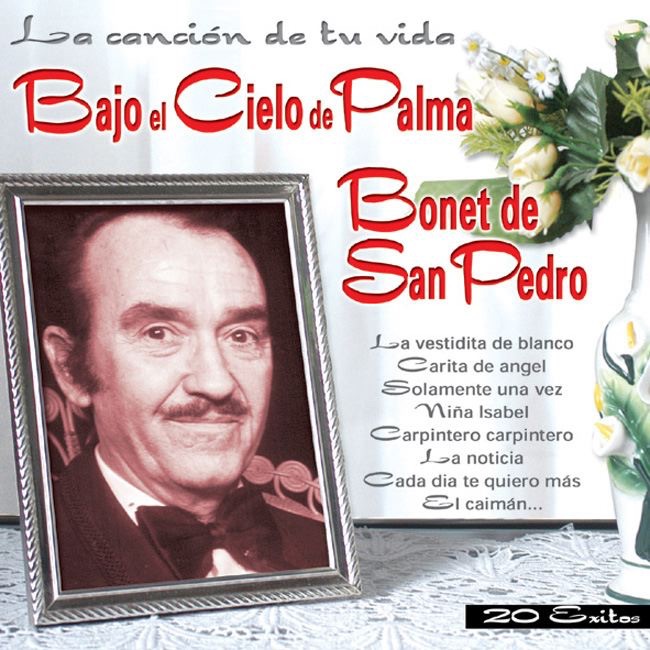 Bajo el Cielo de Palma