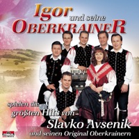 IGOR UND SEINE
