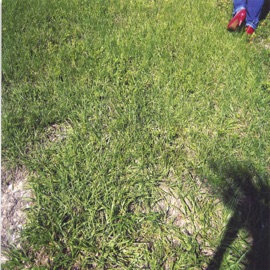 My Truck's Got Balls Jen