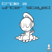 Winter Stayed (Armin van Buuren's On the Beach Mix) song art