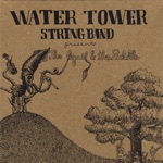 Water Tower String Band - Irish Polka