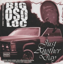 What Would You Do? (feat. Nsane) Big Oso Loc