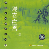 Chinese Parasol In the Moonlight