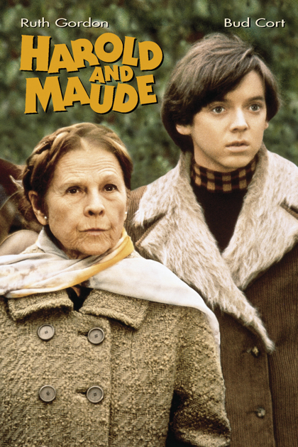 harold and maude on itunes harold and maude on itunes