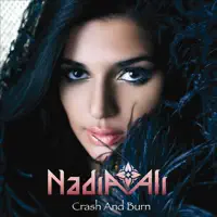 Crash & Burn (Sultan & Ned Shepard Remix) — Nadia Ali