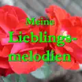 Gib dem Glück eine Chance