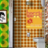 The Shunt - Harry Merry