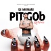 DJ MUNARI & PIT-GOb