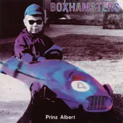 Prinz Albert - Boxhamsters