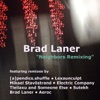 Brad Laner