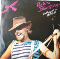 You Don`t Love Me — PeeWee Bluesgang