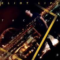 Tacoma Mockingbird - Eliot Lipp