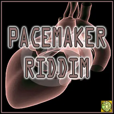 Posłuchaj utworu Pacemaker Riddim wykonywanego przez Various Artists.