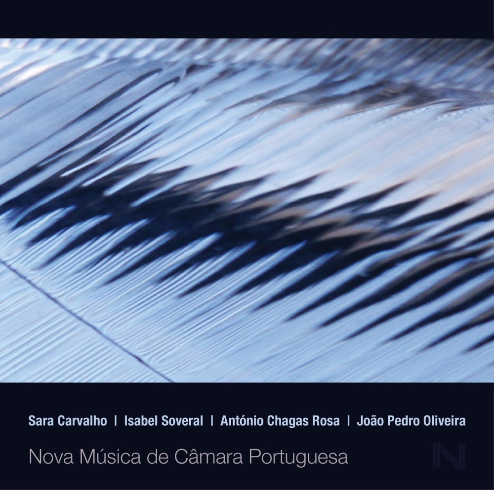Обложка альбома «Nova Musica De Camara Portuguesa» — Cesário Costa, António Lourenço, Sebastian Wiegers, Yan Pipal, Trevor Mctait, Oliver Parr, Jonathan Ayest, Hugo Diogo, Alexandre Delgado, Alexander Stewart, Drumming, Miguel Bernat, João Cunha, Rui Rodrigues, Pedro Oliveira & Nuno Aroso