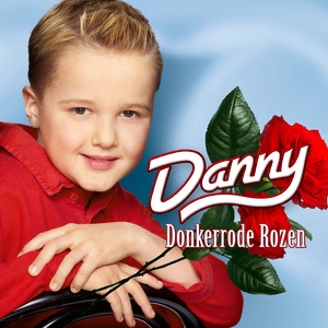 Donkerrode Rozen