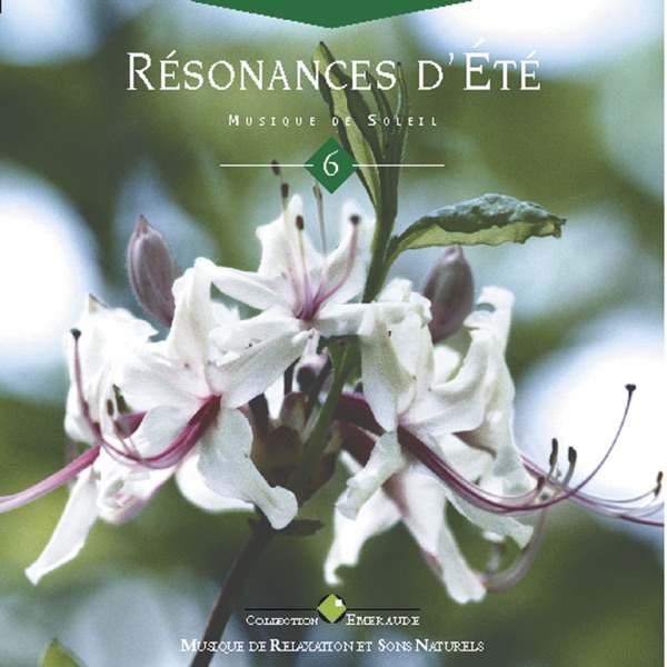 Emeraude : Résonances d'été artwork