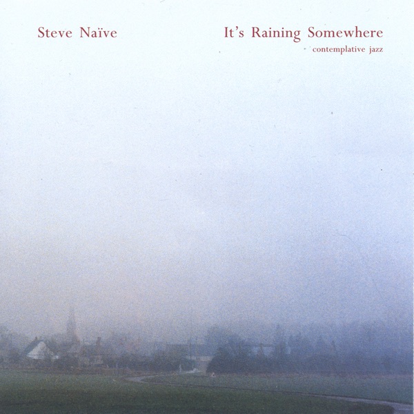 Обложка альбома «It's Raining Somewhere» — Steve Nieve