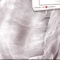 PAR POGU