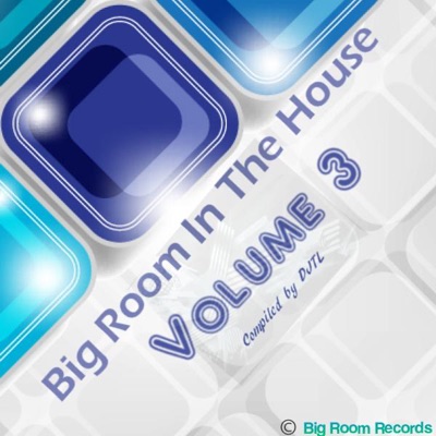 Big Room In The House Volume 3 (Compiled by DJTL)