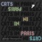 Terrapins - Cats In Paris lyrics