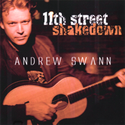 I Just Wanna Make Love to You - Andrew Swann