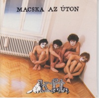 KFT - Macska Az Úton