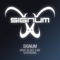 What Ya Got 4 Me - Single (The Remixes) - Signum