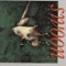 Couldn't Bear to Be Special - Prefab Sprout lyrics