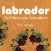 Caleidoscope Aeroplane - Single