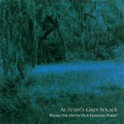 Lost - Autumn's Grey Solace