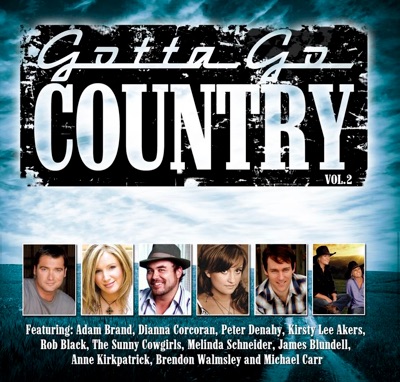 Gotta Go Country, Vol. 2