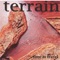 Lookey Lou - Terrain lyrics
