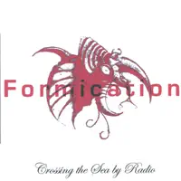 This Summer — Formication