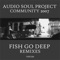 Community (Fish Go Deep Vocal Mix) - Audio Soul Project lyrics