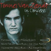 Townes Van Zandt In Concert artwork