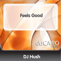 Feels Good - Single - DJ Hush