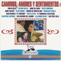 Caminos Amores y Sentimientos - Feria Mexicana - Alejandro Rivera, Dueto Azteca, Dueto Chihuahua, El Tamborazo Zacatecano, Emilio Galvez, Hermanas Padilla, Jorge del Rosal, Jorge Valente, Juan Mendoza, Lorenzo De Monteclaro, Los Cantores del Camino, Los Dos Reales, Luis Pérez Meza, Pilar Guerra & Valentina Cantoral