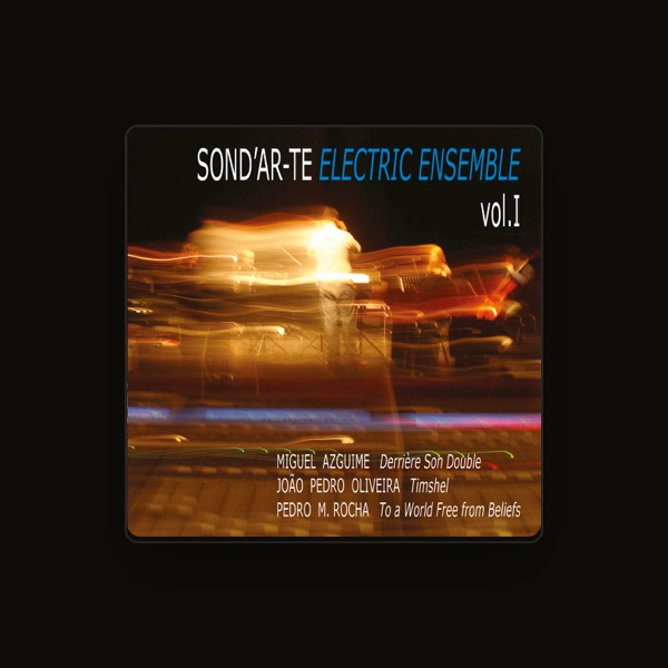 Sond'Ar-te Electric Ensemble's avatar