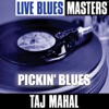 Taj Mahal - Ulysses Blues