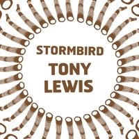 Stormbird - Tony Lewis