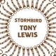 Stormbird