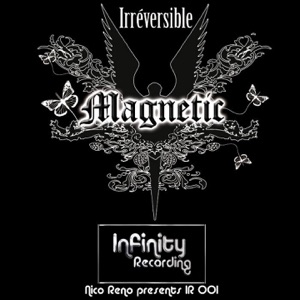 IR 001 Irréversible