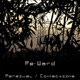 Parzival Connections EP